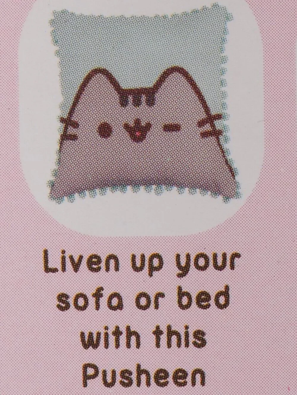 Pusheen Box 2017 Fall Pillow case